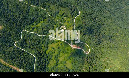 Vue de haut en bas par drone de la route sinueuse à travers la forêt luxuriante de la vallée de Prača près du village de Vrhprača, Bosnie Banque D'Images