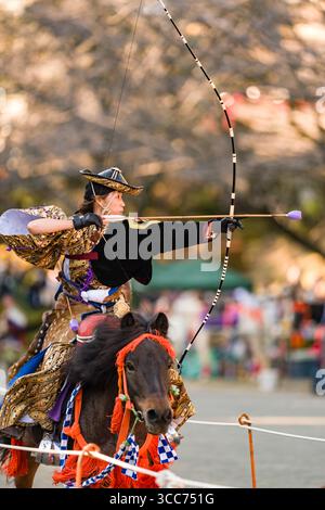 Un archer habile en tenue traditionnelle exécute Yabusame, une cérémonie japonaise de tir à l'arc à cheval, visant un arc tout en montant dans un cadre extérieur, Banque D'Images
