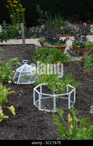 Cloches sur le patch végétal Banque D'Images