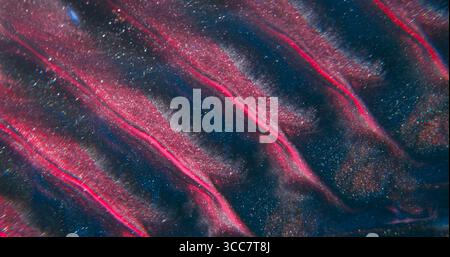 Peinture étincelante. Particules d'écoulement. Flou rose violet liquide shimmer vague de couleur flou flottant sur fond acrylique créatif de lumière abstraite. Banque D'Images