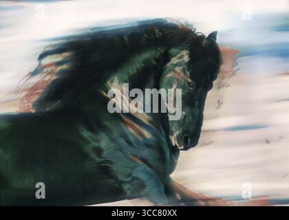 Portrait d'action étalon cheval frison adulte en cours d'exécution.. Photo numérique stylisée Banque D'Images