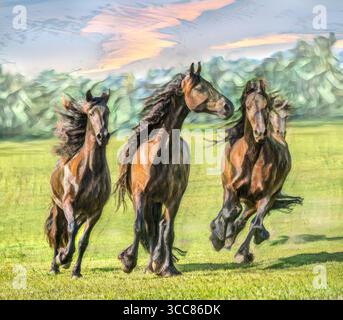 Troupeau de chevaux hollandais frisiens courant vers nous dans les pâturages verts ouverts. Photo numérique stylisée Banque D'Images