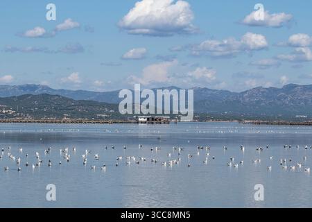 La baie de Fangar est un coin unique du delta de l’Èbre où la nature et l’activité humaine coexistent en équilibre. Banque D'Images