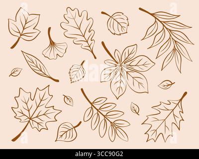 Grand ensemble d'art de ligne de feuilles d'automne. Délimitez le feuillage de couleur brune. Illustration vectorielle de contour isolé sur fond beige Illustration de Vecteur