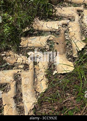 Boue séchée des pneus du tracteur sur un enclos herbacé Banque D'Images