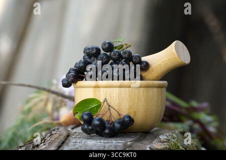 Gros plan de baies d'aronia fraîches dans un bol en bois avec un mortier, parfait pour les concepts de santé et de bien-être. Banque D'Images