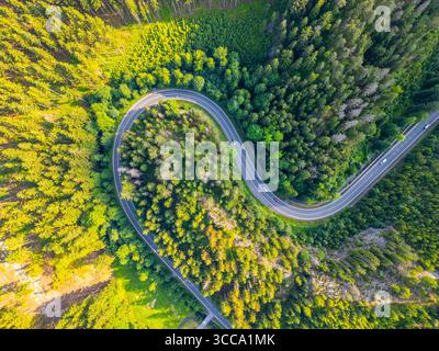 Une route asphaltée sinueuse serpente à travers une vallée forestière luxuriante, entourée d'arbres verts denses sous un ciel clair et lumineux. Les véhicules sont visibles naviguant sur le chemin sinueux. Banque D'Images