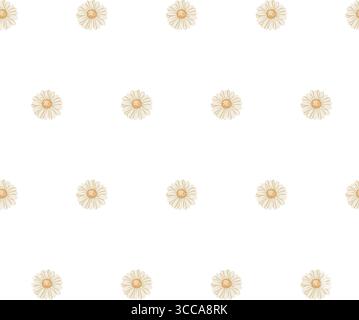 Modèle simple sans couture avec fleur de Marguerite sur fond blanc. Illustration de coquette pastel dessinée à la main dans un style doodle romantique. Idéal pour le papier peint Illustration de Vecteur