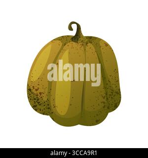 Légume de citrouille isolé. Icône de vecteur de plante comestible d'automne. Signez pour les fêtes de Thanksgiving ou Halloween festive. Nourriture d'automne et repas bio et sain. Cuisine, botanique, agriculture et signe de récolte. Illustration de Vecteur