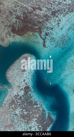 Vue aérienne d'une crique vibrante où les eaux turquoises rencontrent le littoral accidenté, créant un contraste saisissant de couleurs et de textures, Moorea, Windward Banque D'Images