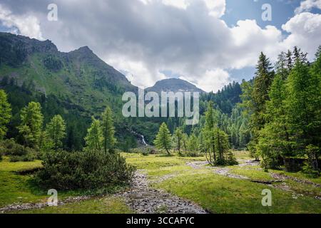 Prairie alpine luxuriante et forêt à feuilles persistantes sous les crêtes de montagne en Styrie, Autriche, près de la zone de randonnée de Duisitzkarsee Banque D'Images