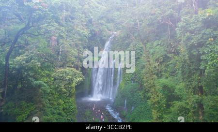 La vue aérienne de la cascade de Tiu Kelep plonge au milieu d'une étreinte verdoyante de feuillage dense et d'air chargé de brume, créant une oasis de sérénité, Senaru Banque D'Images