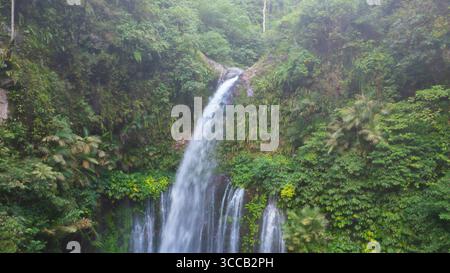 La vue aérienne de la cascade de Tiu Kelep plonge au milieu d'une tapisserie vibrante de feuillage émeraude, créant une oasis sereine de beauté naturelle, Sena Banque D'Images