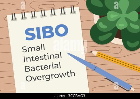 Prolifération bactérienne SIBO de l'intestin grêle écrite dans un cahier en spirale ; composition plate sur le bureau en bois - illustration vectorielle Illustration de Vecteur