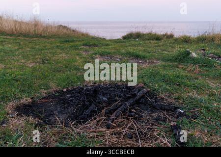 charbon de bois laissé par un incendie brûlé sur le sol Banque D'Images