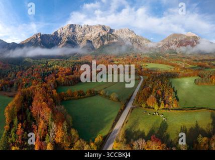 Pâturages alpins et forêt d'automne dans la vallée du Champsaur, Alpes françaises. Sommets rocheux du massif de la Devoluy dans les Hautes-Alpes (05), France Banque D'Images