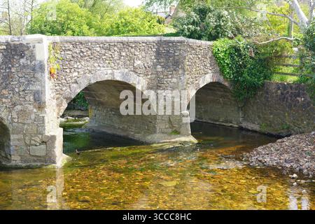 Pont Chantry sur la rivière Coly, Colyton, Devon, Angleterre, Royaume-Uni en mai Banque D'Images