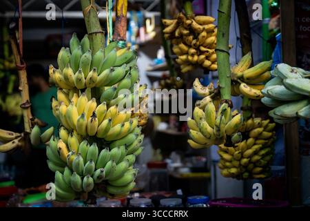 4 décembre 2023, Bangkok, MalÃ, Maldives : des bouquets de bananes sont vus en vente dans la rue à MalÃ©. Vie quotidienne à MalÃ©, Maldives, capitale de la nation insulaire de l’océan Indien, dont l’économie dépend fortement du tourisme. La population du pays comprend de nombreux ressortissants étrangers travaillant dans des pays du monde entier, y compris les Philippines, Myanmar, Sri Lanka, et l'Inde, et sa population est majoritairement musulmane. (Crédit image : © Matt Hunt/ZUMA Press Wire) Banque D'Images