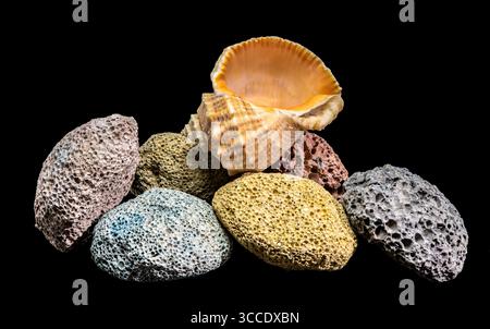 Un plan horizontal de studio de diverses roches volcaniques poreuses et un grand coquillage de conque. Les textures et les couleurs naturelles sont mises en évidence contre un drame Banque D'Images
