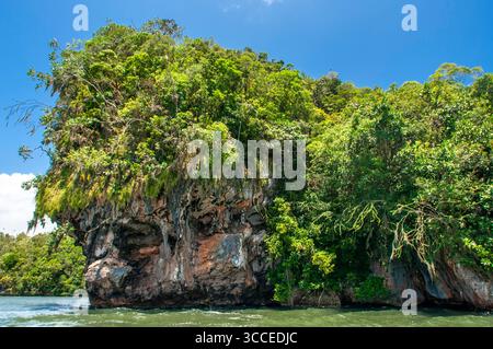 27 juillet 2009, Samana, Republica Dominicana : forêt tropicale, mangroves. L'écotourisme. Parc national Los Haitises, Sabana de la Mar, République Dominicaine...le parc national Los Haitises est un parc national situé sur la côte nord-est éloignée de la République Dominicaine qui a été créé en 1976. Il se compose d'un plateau karstique calcaire avec des collines coniques, des gouffres et des cavernes, et il y a une grande zone de forêt de mangrove sur la côte. D'autres parties du parc sont recouvertes de forêt humide subtropicale et la région a des précipitations annuelles d'environ 2 000 mm (79 po). Le parc contient un certain nombre de h différents Banque D'Images