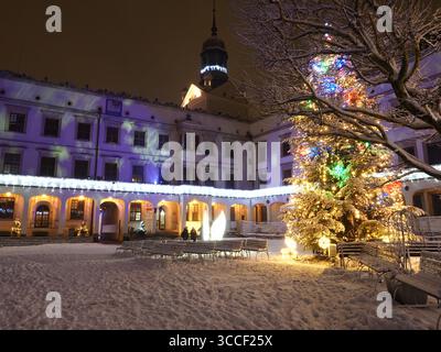 Arbre de Noël dans la cour du château des ducs de Poméranie, Szczecin, Pologne la nuit Banque D'Images