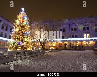 Arbre de Noël dans la cour du château des ducs de Poméranie, Szczecin, Pologne la nuit Banque D'Images