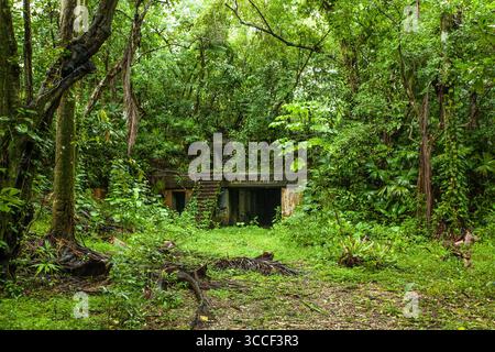 26 novembre 2008, Fort Sherman, province de Colon, Panama : ruines de la batterie Mower, une batterie d'artillerie côtière américaine construite pour défendre l'entrée atlantique du canal de Panama. Construit entre 1912-1916 et abritant un canon rayé de 14 pouces. Nommé en l'honneur du major général Joseph A. Mower, qui a servi avec le 25th Infantry pendant la guerre de Sécession. Fort Sherman, Panama. (Crédit image : © Jon G. Fuller / Vwpics/VW pics via ZUMA Press Wire) Banque D'Images