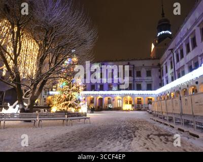 Arbre de Noël avec lumières festives à la cour du château du duc de Poméranie, Szczecin, Pologne Banque D'Images