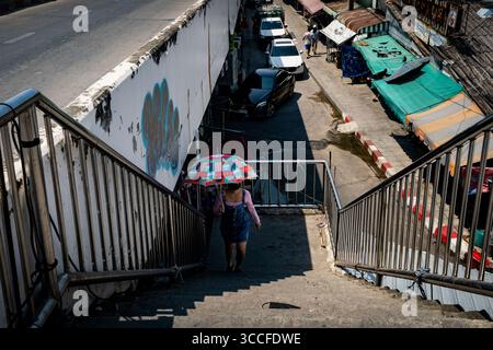 24 février 2023, Bangkok, Thaïlande : des plants de cannabis juvéniles sont vus au soleil dans la rue. Vie quotidienne autour de Lad Krabang, un quartier résidentiel près de l'aéroport international de Suvarnabhumi, à l'est de Bangkok, Thaïlande, le 24 février 2022. (Crédit image : © Matt Hunt/ZUMA Press Wire) Banque D'Images