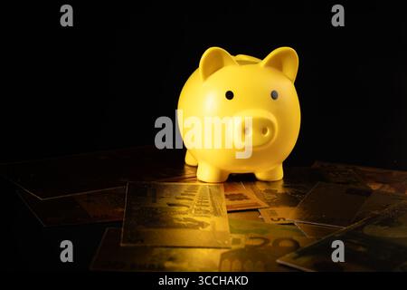 La tirelire jaune se trouve sur des billets en euros éparpillés, symbolisant l'épargne financière et la stabilité économique. Idéal pour les thèmes liés à la budgétisation, l'argent Banque D'Images