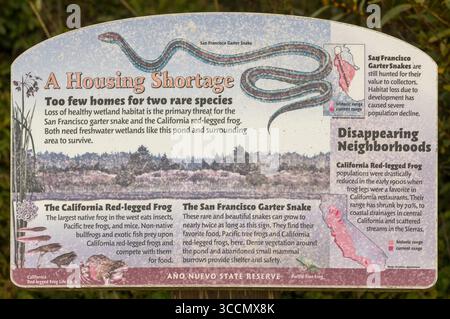 Pescadero, Californie, États-Unis - 9 août 2025 : signe des espèces menacées à la réserve d'État d'Ano Nuevo Banque D'Images