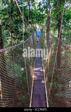 8 mars 2008, Belen, Pérou : ponts suspendus à la canopée surélevée. Une passerelle de canopée de forêt tropicale dans le parc national de la forêt amazonienne tambopata, dans la réserve Inkaterra amazonica. Les visiteurs ont une vue d'oeil d'oiseau depuis la passerelle de la canopée de la jungle amazonienne à la rivière napo camp Explorama tours au Pérou. Iquitos, Loreto, Pérou. L'Amazone Canopy Walkway, l'un des ponts suspendus les plus longs au monde, qui permettra aux principaux animaux de la forêt d'une hauteur de 37 mètres et est suspendu au-dessus des 14 arbres les plus hauts de la région. (Crédit image : © Sergi Reboredo/ZUMA Press Wire) Banque D'Images