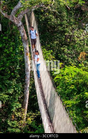 8 mars 2008, Belen, Pérou : ponts suspendus à la canopée surélevée. Une passerelle de canopée de forêt tropicale dans le parc national de la forêt amazonienne tambopata, dans la réserve Inkaterra amazonica. Les visiteurs ont une vue d'oeil d'oiseau depuis la passerelle de la canopée de la jungle amazonienne à la rivière napo camp Explorama tours au Pérou. Iquitos, Loreto, Pérou. L'Amazone Canopy Walkway, l'un des ponts suspendus les plus longs au monde, qui permettra aux principaux animaux de la forêt d'une hauteur de 37 mètres et est suspendu au-dessus des 14 arbres les plus hauts de la région. (Crédit image : © Sergi Reboredo/ZUMA Press Wire) Banque D'Images