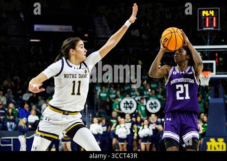 15 novembre 2023 : la garde du nord-ouest Melannie Daley (21 ans) tire le ballon alors que la garde de notre Dame, Sonia citron (11 ans), défend lors d'un match de basket-ball féminin de la NCAA entre les Wildcats du nord-ouest et les Fighting Irish de notre Dame au Pavillon Purcell au Joyce Center à South Bend, Indiana. Notre Dame bat Northwestern 110-52. John Mersits/CSM. (Crédit image : © John Mersits/CSM via ZUMA Press Wire) Banque D'Images