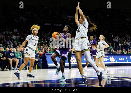15 novembre 2023 : la garde du nord-ouest Melannie Daley (21 ans) se lève pour un tir alors que l'attaquante de notre Dame Kylee Watson (22 ans) défend lors d'un match de basket-ball féminin de la NCAA entre les Wildcats du nord-ouest et les Fighting Irish de notre Dame au Pavillon Purcell au Joyce Center à South Bend, Indiana. Notre Dame bat Northwestern 110-52. John Mersits/CSM. (Crédit image : © John Mersits/CSM via ZUMA Press Wire) Banque D'Images