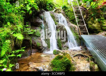 Paysage magnifique de la cascade de Hrabovo coulant à travers les montagnes rocheuses dans une forêt verdoyante. Localisation lieu à Malino Brdo, Ruzomberok, Slovaquie, Europe. Banque D'Images