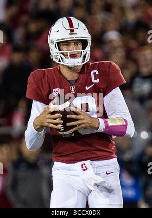 08 octobre 2022 Palo Alto, CA États-Unis le quarterback de Stanford Tanner McKee (18 ans) cherche un receveur ouvert pendant le match de football de la NCAA entre les Oregon State Beavers et le Cardinal de Stanford. Oregon State Beat Stanford 28-27at Stanford Stadium Palo Alto, CA Thurman James / CSM (crédit image : © Thurman James/CSM via ZUMA Press Wire) Banque D'Images