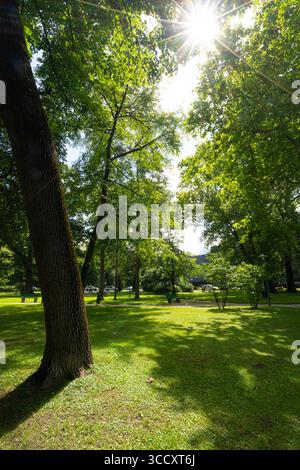 Innsbruck, Autriche. 1er août 2025. Vue panoramique sur le jardin d'Innsbruck court dans le centre-ville Banque D'Images
