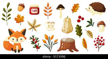 Une collection complète d'illustrations dessinées à la main présentant divers éléments sur le thème de l'automne et de la forêt. Cette œuvre d'art numérique vibrante comprend Illustration de Vecteur