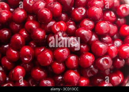 Tas de cerises douces rouges mûres, gros plan. Fond de cerise. Banque D'Images