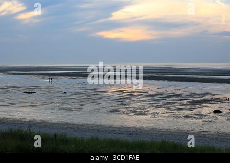 Brewster, ma, USA - 26 juillet 2025 - les amateurs de plage marchent dans les plaines de marée de Cape Cod Bay à marée basse Banque D'Images