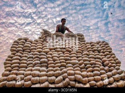 Bogura, Bangladesh - 20 novembre 2021 : vue d'un agriculteur au sommet d'une imposante pile de jute, les fibres dorées contrastant avec le ciel texturé. Banque D'Images