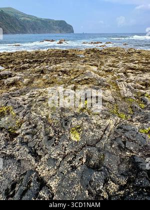 Formations de lave basaltique et affleurements rocheux côtiers avec îlots de Mosteiros en arrière-plan, île de São Miguel, Açores. Banque D'Images