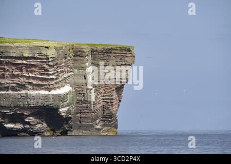 Haute falaise au-dessus de la mer bleue sous un ciel clair, Noss, îles Shetland, Écosse, Royaume-Uni Banque D'Images
