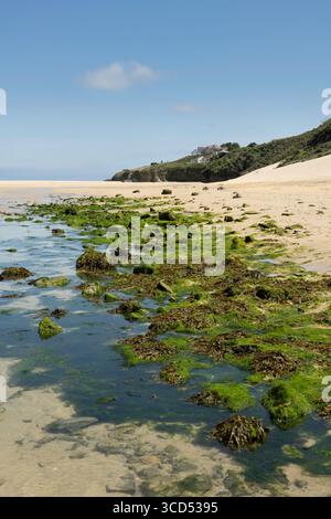 Eau claire et sable blanc à Hayle Beach, Cornwall, Angleterre Banque D'Images