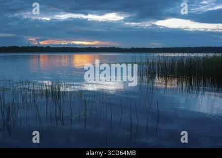La nature de la Biélorussie, un matin d'été serein, une aube brillante sur le lac Selyava, Biélorussie Banque D'Images