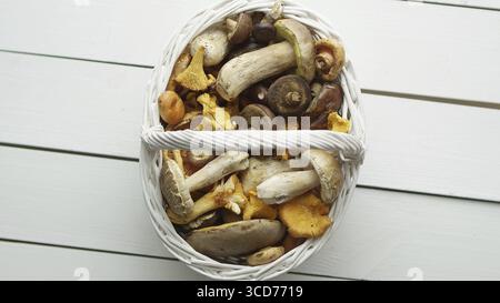 Vue de dessus de divers champignons sauvages récoltés dans un panier en bois. Vue de dessus, plan d'agencement Banque D'Images