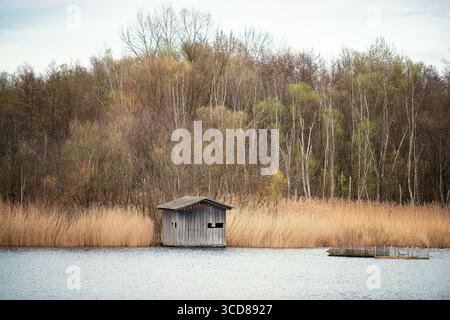 Biodiversité Haff Reimech, zone humide et réserve naturelle au Luxembourg, étang entouré de roseaux et d'arbres, point d'observation des oiseaux Banque D'Images