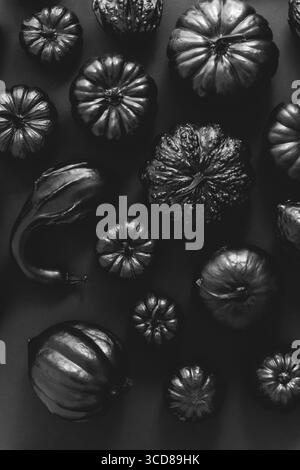 Différents types de petits citrouilles peintes en noir sur fond sombre. Vue de dessus, plan d'agencement Banque D'Images
