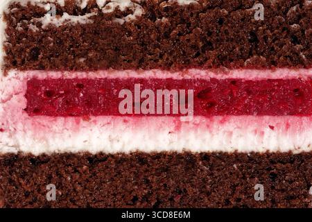 Gâteau éponge au chocolat dispose d'une garniture de cerise, magnifiquement superposée pour mettre en valeur les textures et les couleurs riches, idéal pour la photographie de dessert et culinaire Banque D'Images